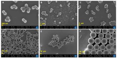 Unveiling the noxious effect of polystyrene microplastics in aquatic ecosystems and their toxicological behavior on fishes and microalgae